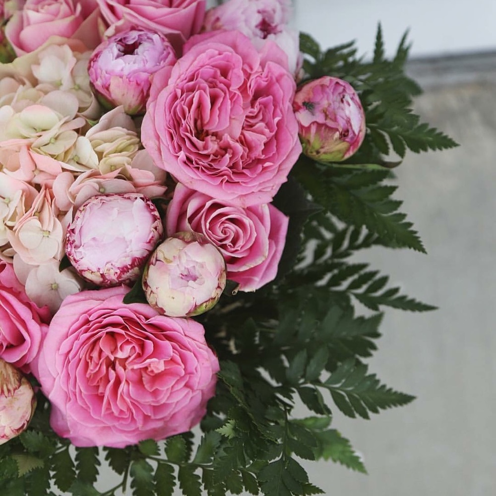 Meet your Posher, Katrina